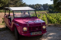 3.2-MEHARI-Tour-Sunset-avec-chauffeur-a-Cassis-et-route-des-cretes