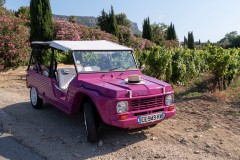 3.2-MEHARI-electrique-pour-visiter-le-vignoble-AOC-de-Cassis