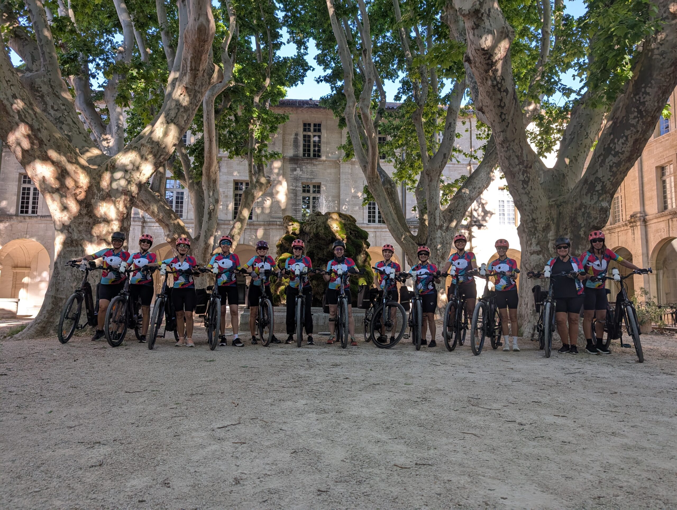 Activité vélo pour les groupes et pros en Provence